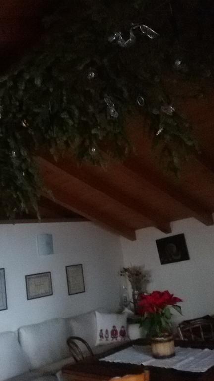 La Casa Del Gelsomino Apartment Ospedaletto  ภายนอก รูปภาพ