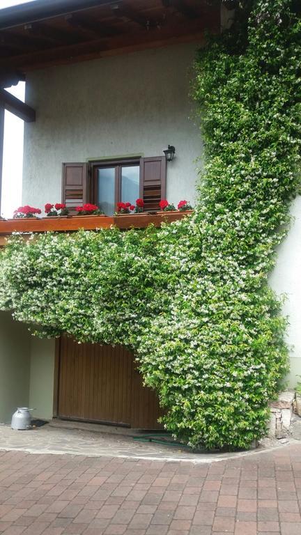La Casa Del Gelsomino Apartment Ospedaletto  ภายนอก รูปภาพ